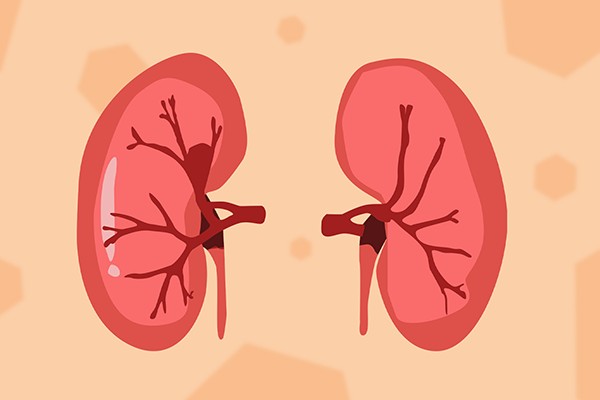 ����ʳ���ʲô�� ������Ҫע��ʲô